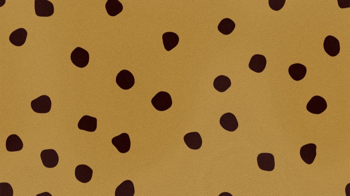 Cheetah Print Banner