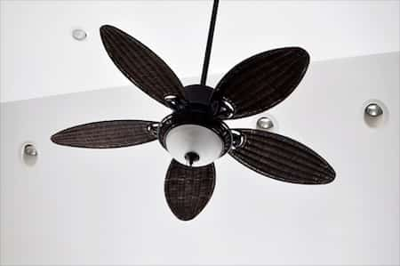 Ceiling & Exhaust Fans